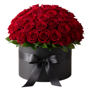 Luxury Roses