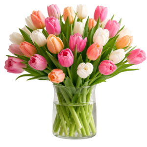 Tulips