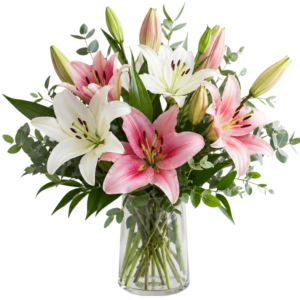 Lilies