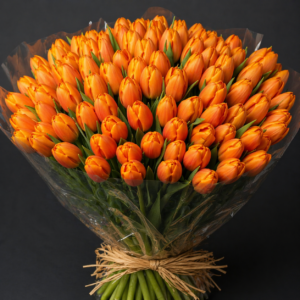 Tulipani Arancione