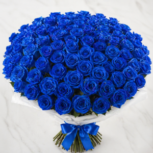 Rosa Blu 51