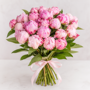 Peonia