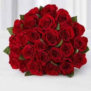 Rosa Rosso