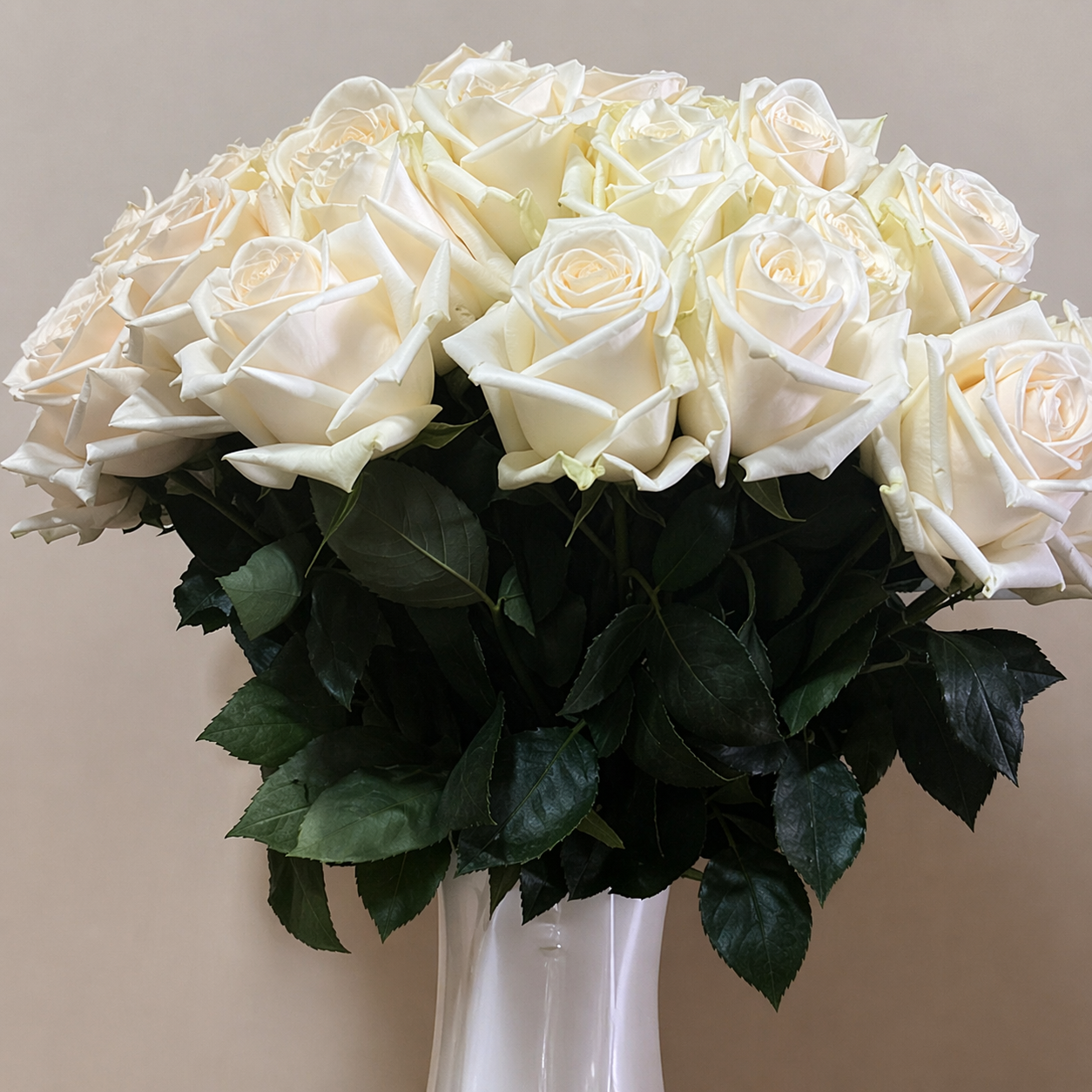 White Love 21