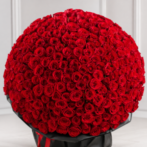 501 Red Roses Bouquet