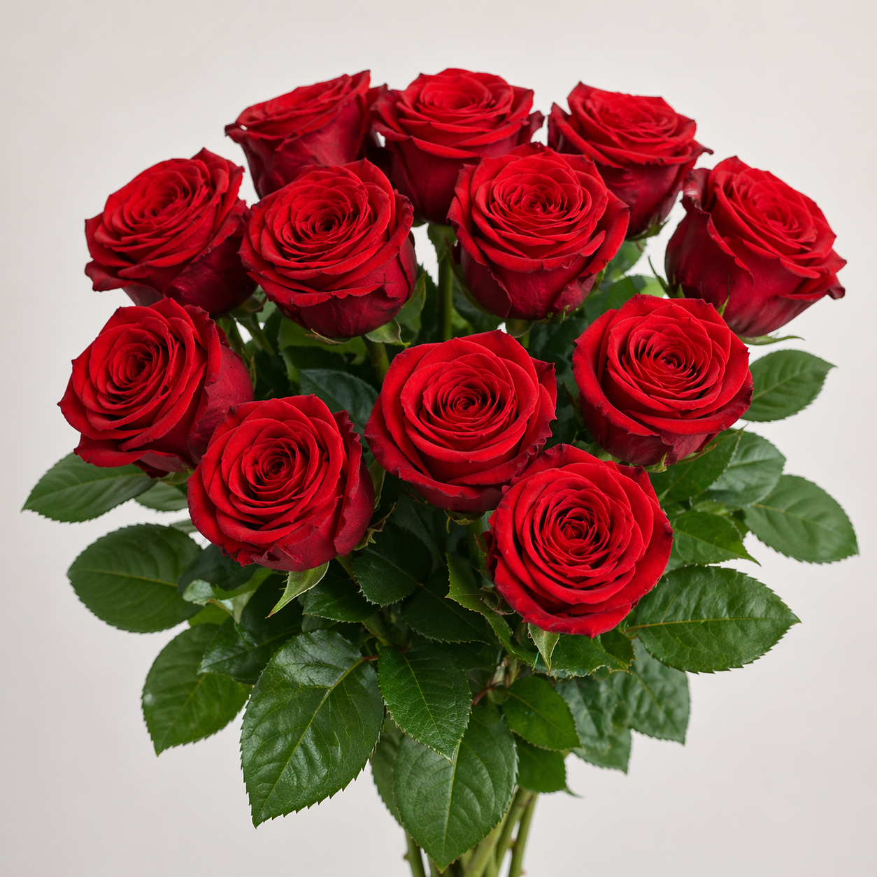 Love Red Roses